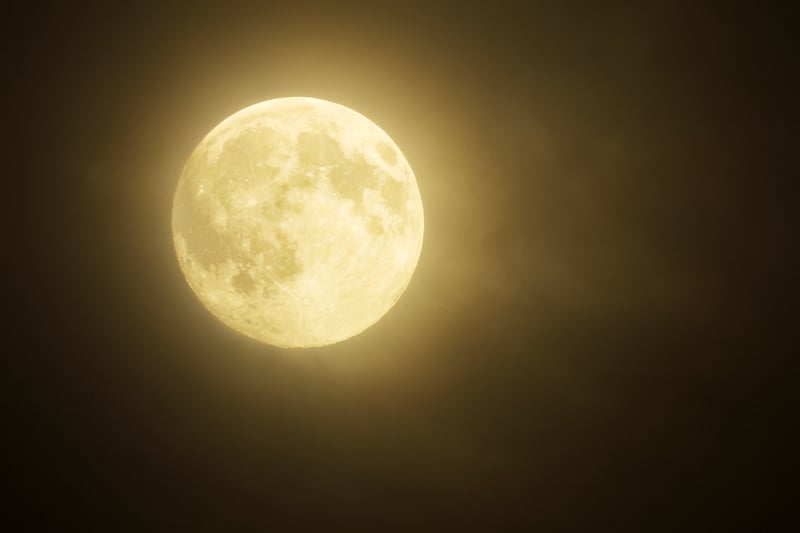 Moon Phase Wall Art